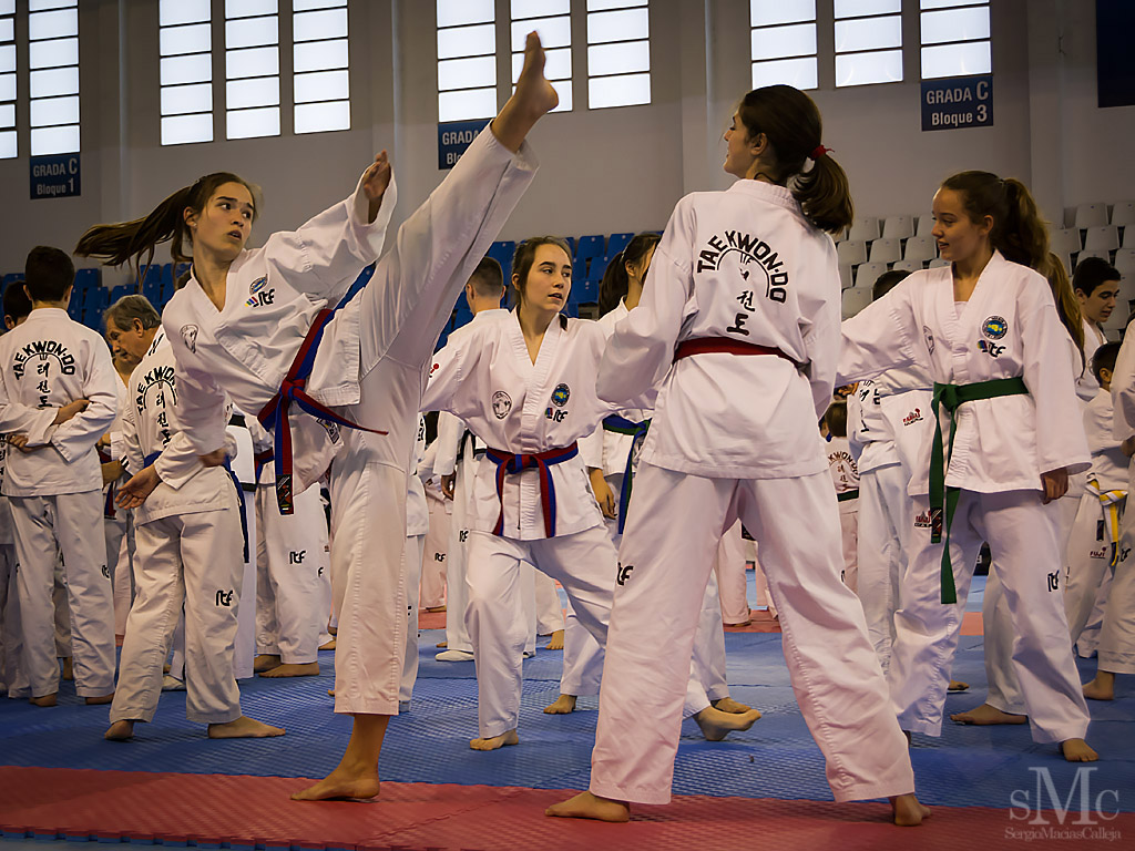DIA DEL TAEKWONDO ABRIL 2017_3867.JPG